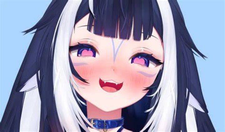 Did Shylily Reveal Her Face At Twitchcon? Meet The Twitch Star