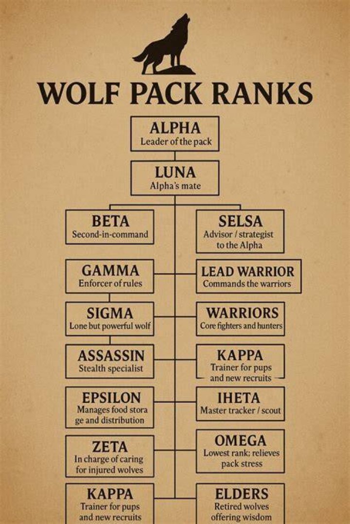 What is the delta in a wolf pack